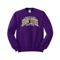 Vanguard Picasso Sparklettes - Crewneck - Purple